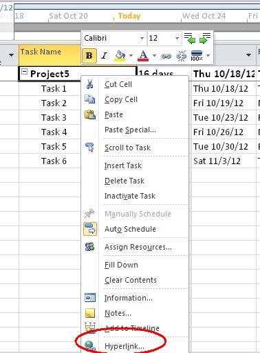 Adding-Hyperlink-to-project-in-project2010.jpg