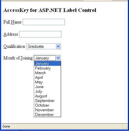 access-key.gif